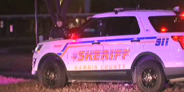 A Texas deputy was shot in the arm while responding to a disturbance.