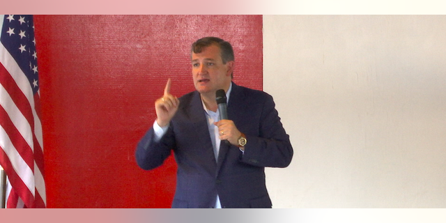 texas senate race 2