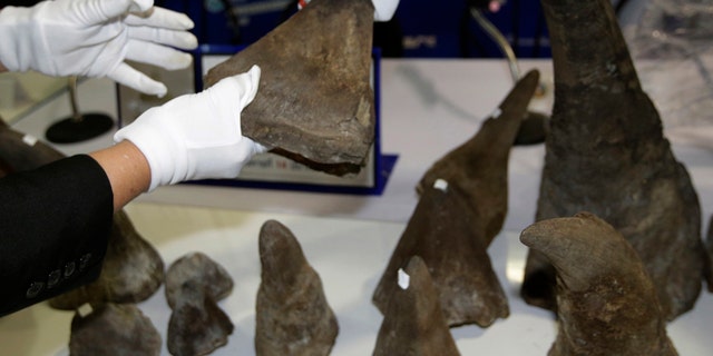 Two men from Congo are facing deportation, $250k fine, and up to five years in prison for illegally sending rhino horns to America.