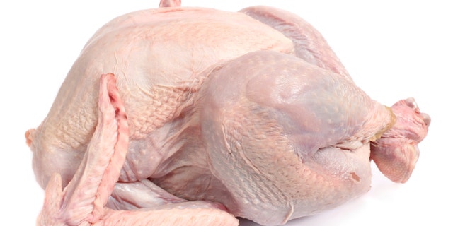 Side view of a raw turkey against a white background