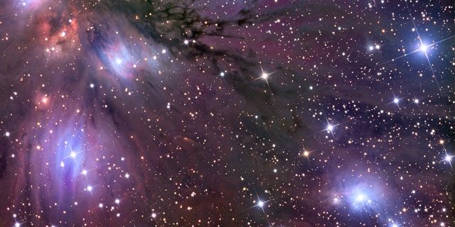 Physicsts believe a new class of stars -- dubbed "electroweak" stars -- are hiding out somewhere in the universe.