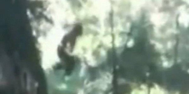 The real deal or yet another hoax?