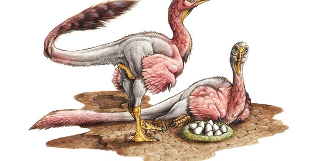 An artist's reconstruction of the newly discovered, and newly named, theropod dinosaur Bonapartenykus ultimus.