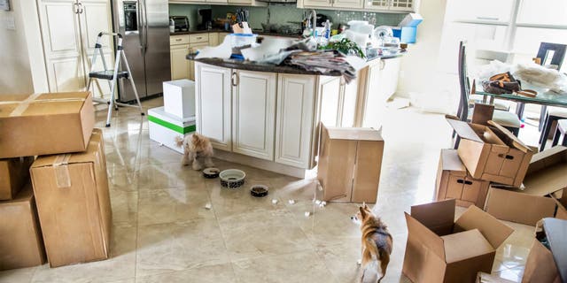 things-annoying-movers