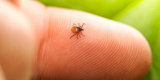 Here's how to get that sucker off safely and what to do next.