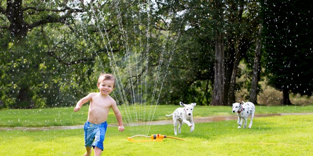A toddler boy runs across the lawn.