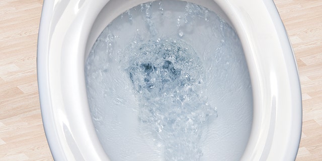 Officials have reportedly opted against filing charges against a Florida mother who was recorded repeatedly dunking her young son’s head into a toilet and flushing.