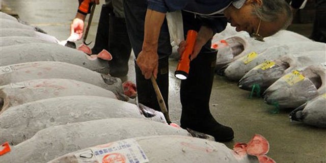 Oct. 15, 2012: Whole tunas being inspected at the Tsukiji fish market in Tokyo.