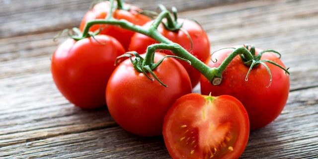 Fresh tomatoes on the vine are shown here. A delicious recipe in which tomatoes are the star is featured here from "Food IQ."