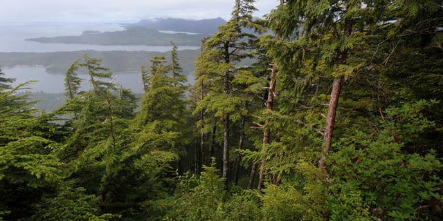 Shown here is Tongass National Forest.