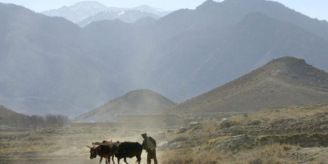 FILE -- In this Dec. 28, 2001 file photo, an Afghan farmer works on his field, on the outskirts of the village of Madakhel in northeastern Afghanistan, near the mountain region of Tora Bora which is seen in the background. An Afghan official says Islamic State fighters have captured some territory around Tora Bora, the former stronghold of Osama bin Laden in eastern Afghanistan's Nangarhar province. (AP Photo/Enric Marti, File)