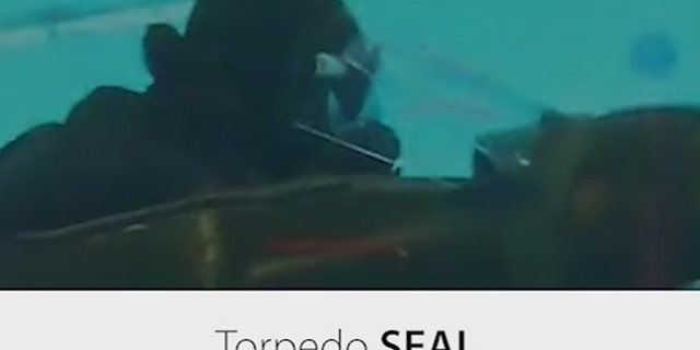 Torpedo SEAL can transport two divers and equipment, fully submerged.
