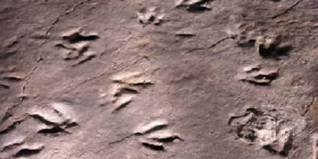 8235a09e-