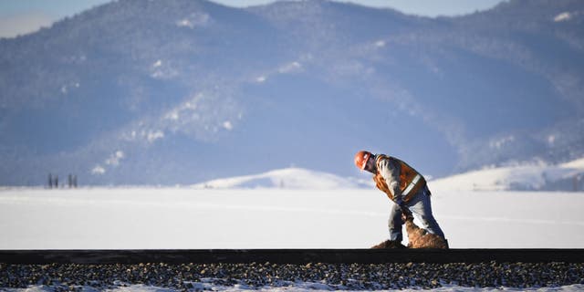 A Montana Rail Link employee heaves a maimed elk carcass off the tracks in Montana.