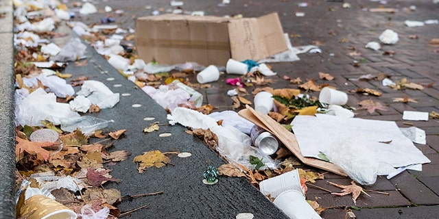 The city of San Diego began a paid program to have the homeless clean up trash.