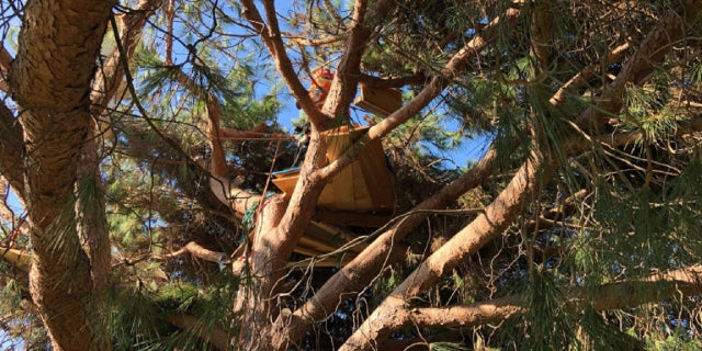 Authorities believe the tri-level tree house, equipped with an aquarium and ocean views, belonged to a homeless person.