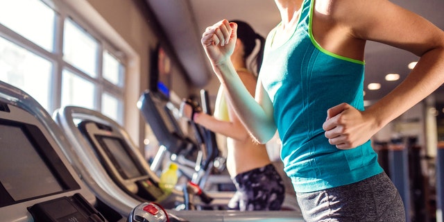 Two attractive fit women running in sports clothes on treadmills in modern gym