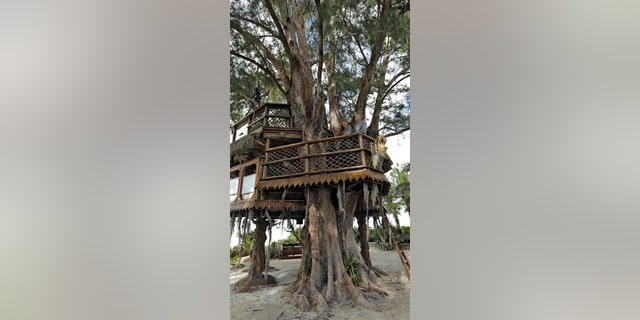 The tree house took six months and $30,000 to build. It also has a view of the Gulf of Mexico.