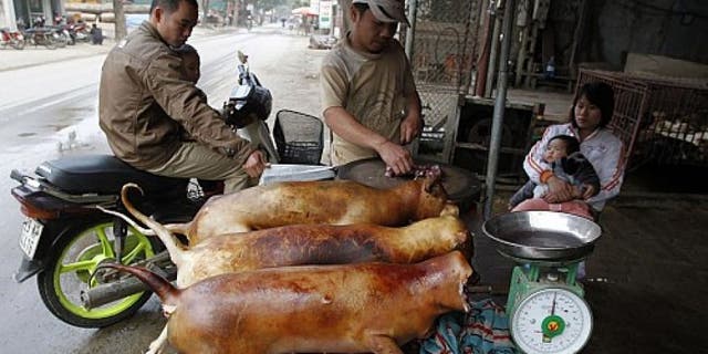 Preparing dog meat in Vietnam.