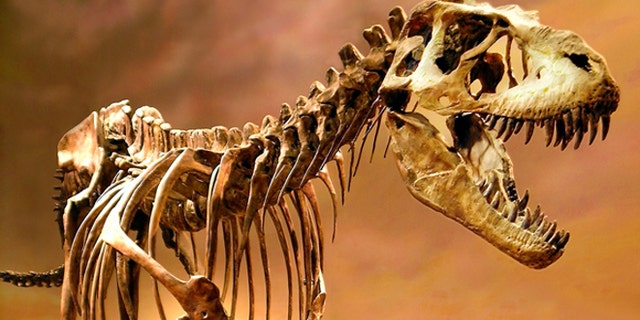 Did eggs prove to be the ultimate dino downfall?