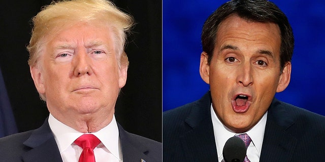 After President Trump made Republican inroads in the 2016 presidential election, GOP gubernatorial candidate Tim Pawlenty is hoping to build on that momentum to reclaim the job he used to hold.