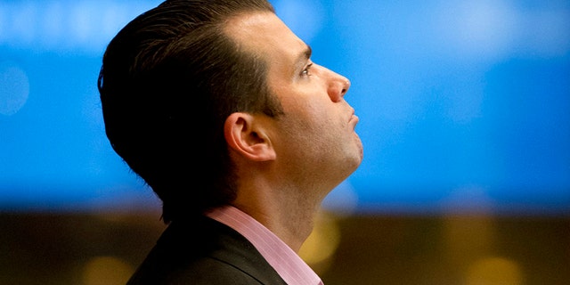 Donald Trump Jr. reportedly met with a Gulf emissary in August 2016.