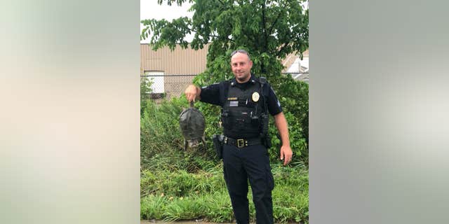 Police in Orrville, Ohio, rescued a turtle stuck in a drain that contributed to some intense flooding following a storm.