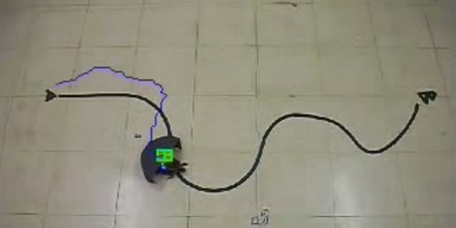 This video still shows a red-eared slider being guided along a set path. The half-cylinder device on the animal's back swings around to simulate obstacles, causing it to turn.