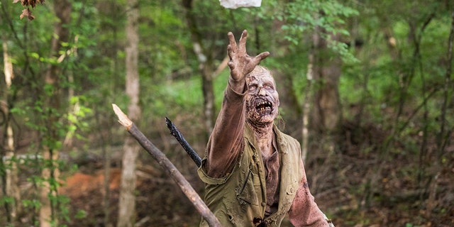 Â - The Walking Dead _ Season 8, Episode 6 - Photo Credit: Jackson Lee Davis/AMC