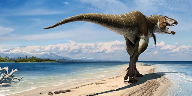 An artistic take on Lythronax, a T. rex relative that lived about 80 million years ago.