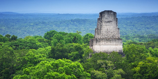 View of one of the various temples on the archeological site of Tikal and the jungle from a top of a of the structures allowed to the public to climb.