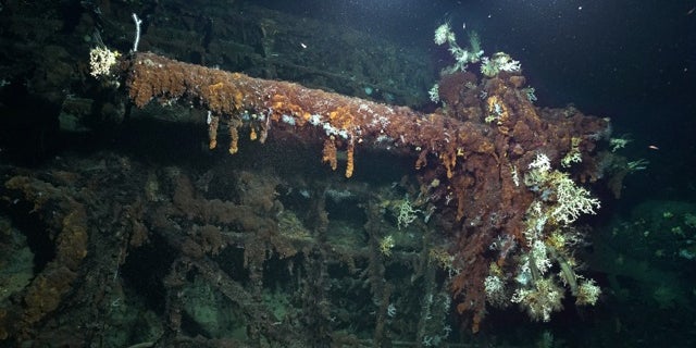 German WW II U-boat discovered off the Azores | Fox News