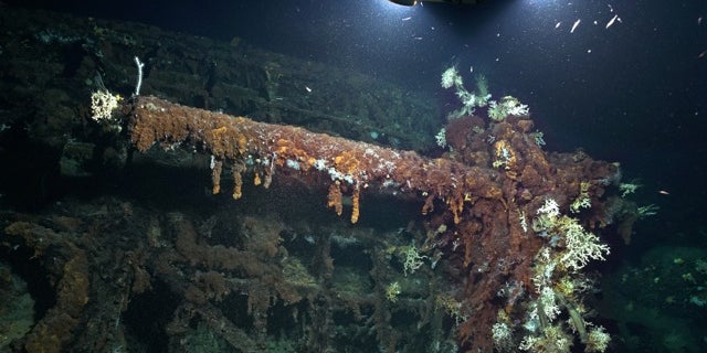 The wreck of U-581 (Rebikoff-Niggeler Foundation).