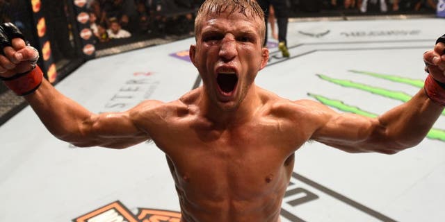 CHICAGO, IL - JULY 25: TJ Dillashaw reacts after his TKO victory over Renan Barao of Brazil in their UFC bantamweight championship bout during the UFC event at the United Center on July 25, 2015 in Chicago, Illinois. (Photo by Jeff Bottari/Zuffa LLC/Zuffa LLC via Getty Images)