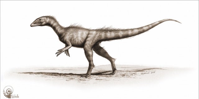 An illustration of the meat-eating dinosaur <i>Dracoraptor hanigani</i>, which might be the earliest known dinosaur discovered in the United Kingdom.