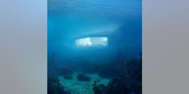 A panoramic window will give diners an up-close view of the ocean life on the seabed.