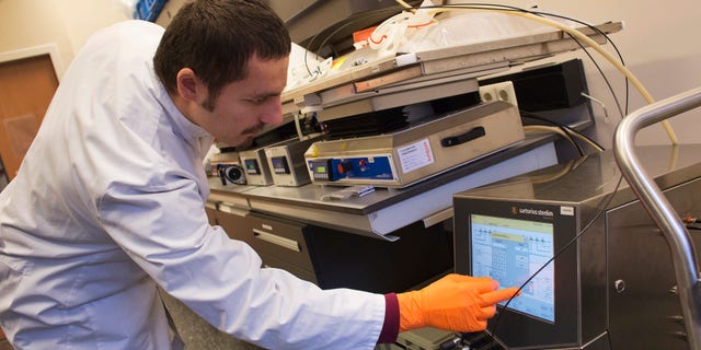 A uniQure bioprocessing engineer checks a monitor of a sterile disposable plastic cell culture bag as it is placed onto a rocking platform in a laboratory at Dutch biotech company uniQure in Amsterdam December 13, 2012. REUTERS/ Michael Kooren
