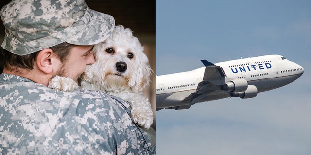 United is making an exception to its PetSafe travel program for military animals.