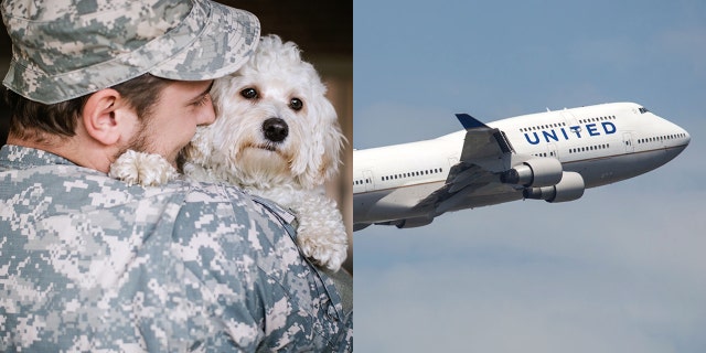 United is making an exception to its PetSafe travel program for military animals.