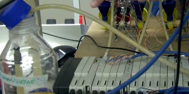 Urine was used to charge a mobile phone with enough electricity to send texts and surf the web.
