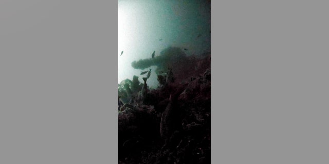 The number 5 (aft deck) 5-inch gun of the USS Abner Read imaged via the researchers' Remotely Operated Vehicle (Project Recover)