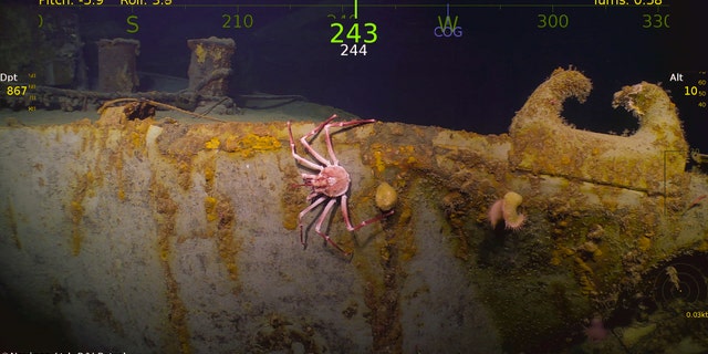 The USS Helena is the latest wreck to be discovered by Paul Allen's expedition team (Navigea Ltd, R/V Petrel)