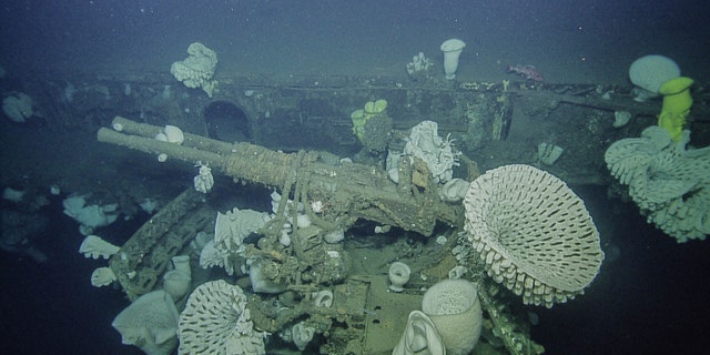 Bofors 40mm anti-aircraft weaponry surrounded by massive glass sponges (OET/Nautilus Live).