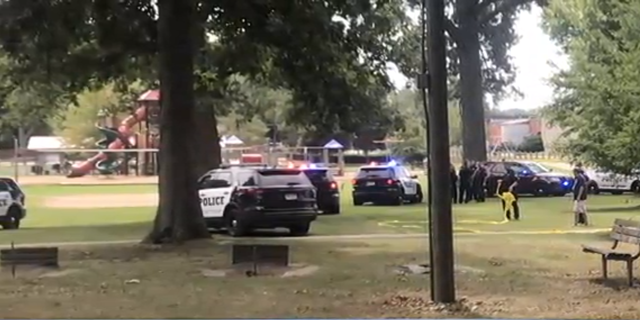 A grandfather was stabbed in a Michigan park during his grandchild's first birthday park, reports said.