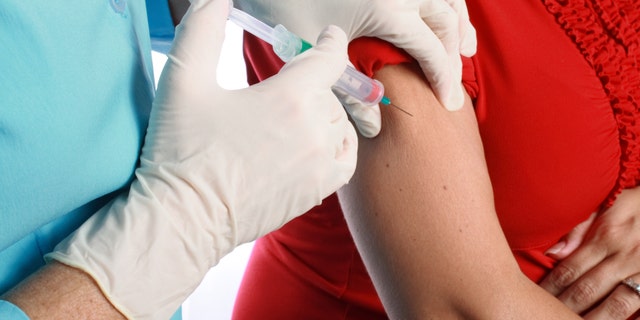 vaccine_pregnancy