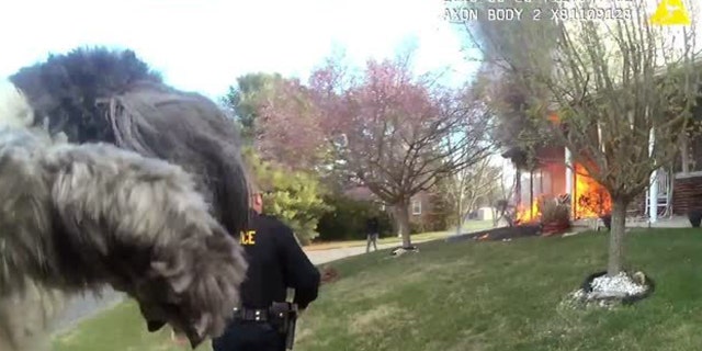 Zoey is seen after she was rescued by a house fire in Virginia.