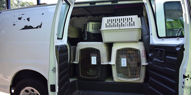 The Greenville Humane Society in South Carolina is more than 200 animals over capacity, and has taken in upwards of 60 animals from shelters in mandatory evacuation zones.