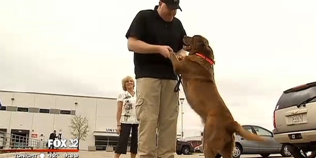 April 30, 2014: Sgt. Jason Bos was reunited with MWD Cila M389, a Labrador Retriever, at Chicago O'Hare International Airport.