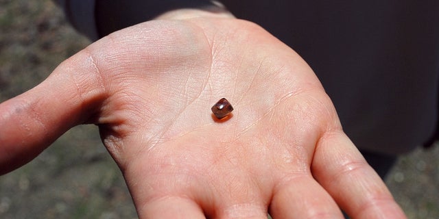 victoria brodski diamond find 2