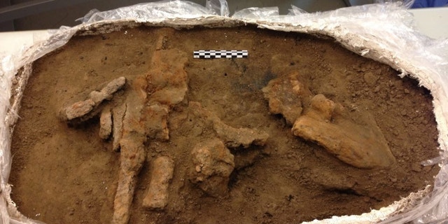 The remains of the toolbox were found in what archaeologists think was a workshop in the Viking fortress at Borgring.